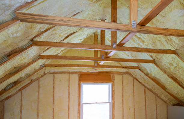 Best Spray Foam Insulation in Taylorvle, IL