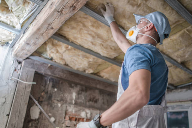 Trusted Taylorville, IL Insulation Contractor Experts