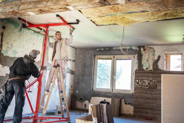Best Insulation for Specific Applications in Taylorvle, IL