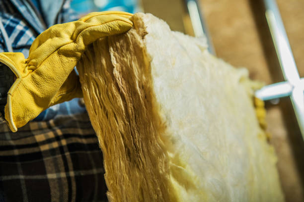 Best Insulation Maintenance and Repair in Taylorvle, IL